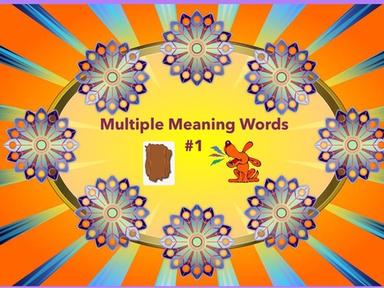 Multiple Meanings Words