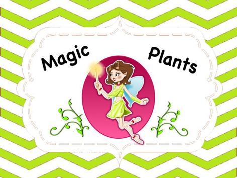 Magic Plants