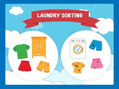 Laundry Sorting 