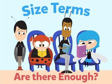 Size Terms: Are There Enough?