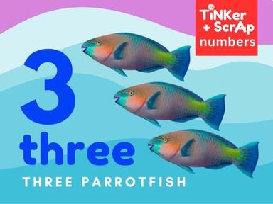 Count 3 Parrot Fish