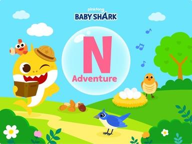 Alphabet Adventure: Letter ‘N’ Exploration