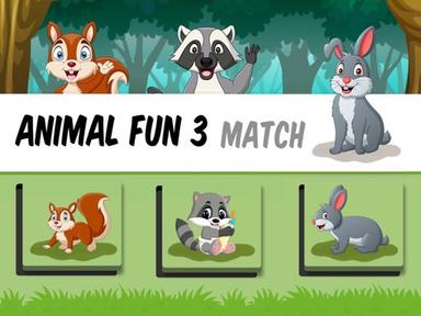 Animal Fun 3 - Match