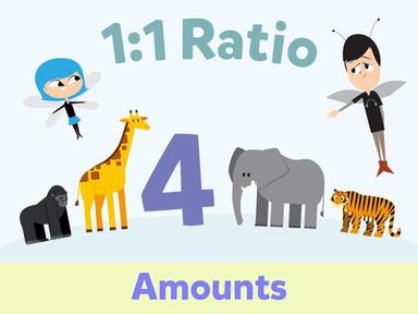 1:1 Ratio - Amounts