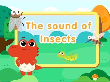 The sound of Insects