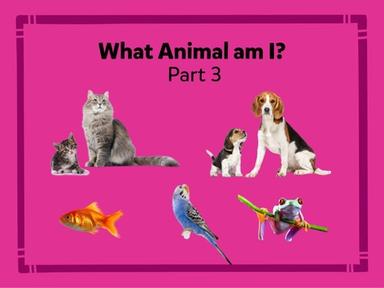 Vocabulary: Animals