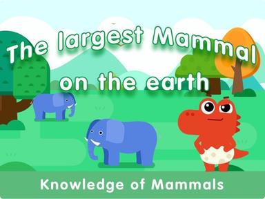 The largest mammal on the  earth 