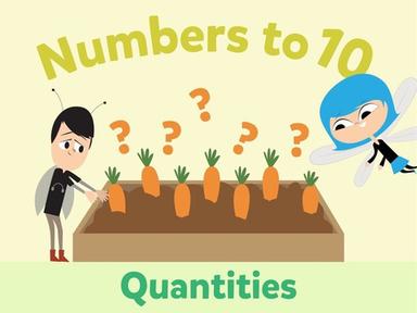 Numbers To 10: Quantities