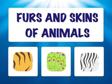 Furs And Skins Of Animals