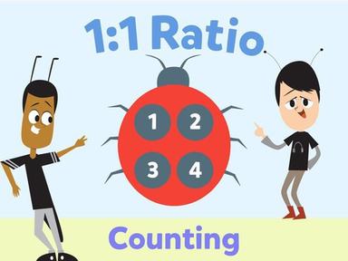 1:1 Ratio - Counting