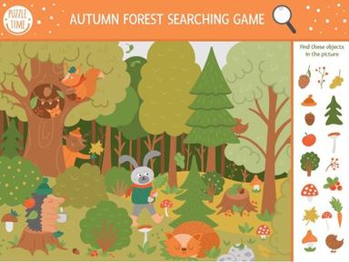 Autumn Forest Searching Game