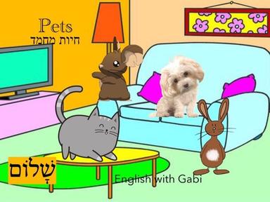 Pets-לימוד חיות מחמד באנגלית לקטנים