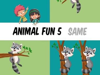 Animal Fun 5 - Same