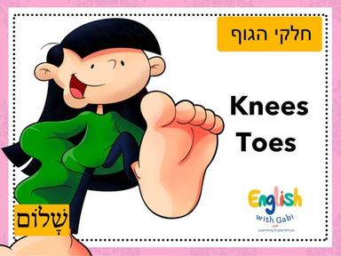 Knees & Toes- לימוד חלקי גוף באנגלית לקטנים