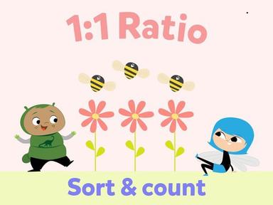 1:1 Ratio - Sort & Count