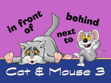 Cat & Mouse 3 - Behind, In Front Of, & Next To