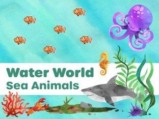 Water World: Sea Animals