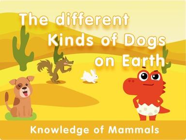 The different kinds of dogs on Earth 