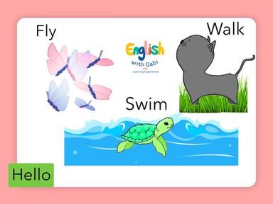 Fly Swim Walk- Verbs in English