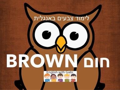 חום Brown- לימוד צבעים באנגלית