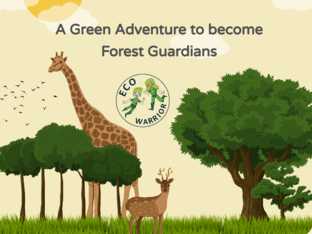 Becoming a Forest Guardians in a green adventure