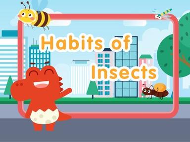 Learning about the Habits of Insects