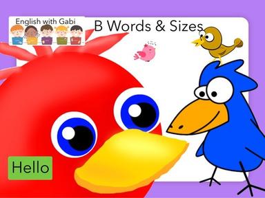  B Words & Sizes in English