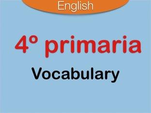 Vocabulary 4º Primaria