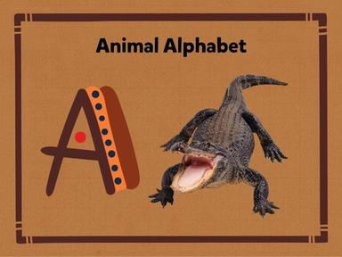 Animal Alphabet