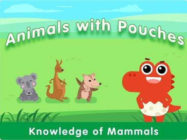 Animals with Pouches