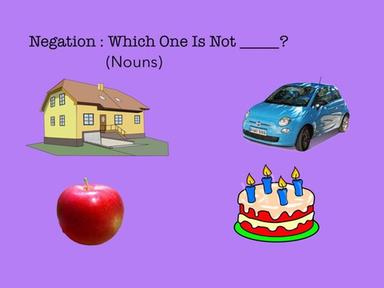 Negation: Which One Is Not? (Nouns)