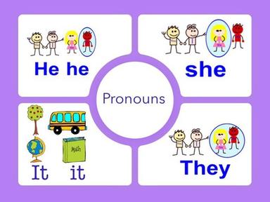 Pronouns: He She It They