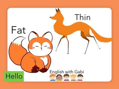 Fat & Thin- Opposites in English