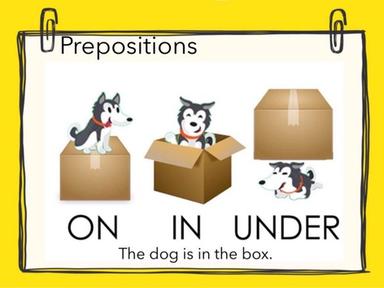 Prepositions  #5