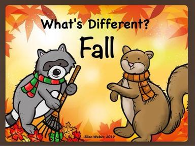 Whats Different - Fall