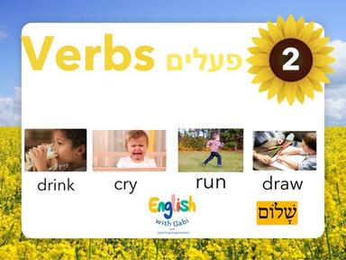 Verbs 2 פעלים 