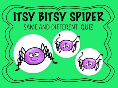 Itsy Bitsy Spider Quiz