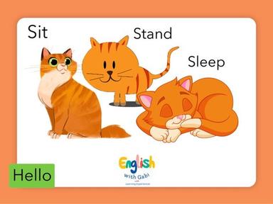 Sit Stand Sleep- Verbs in English