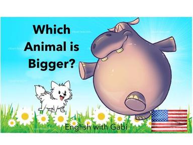 Which Animal Is Bigger? Sizes