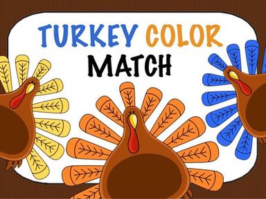 Turkey Color Match