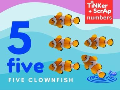 Count 5 Clownfish