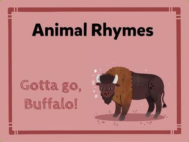 Animal Rhymes