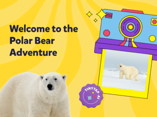 Polar Bear Adventure