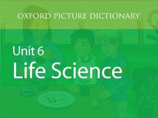 Unit 6: Life Sciences