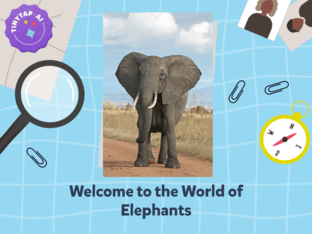 World of Elephants