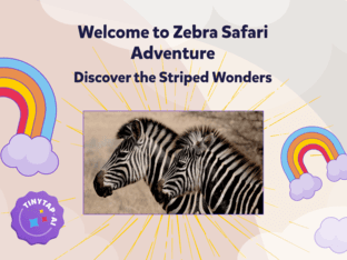 Zebra Safari Adventure