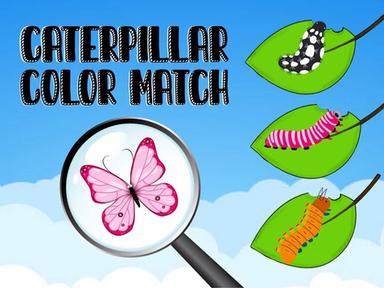 Caterpillar Color Match