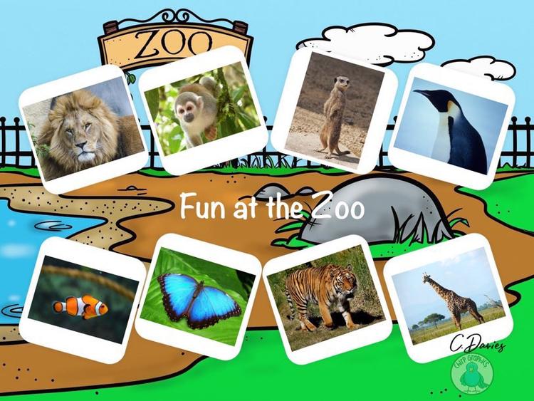 Fun at the Zoo