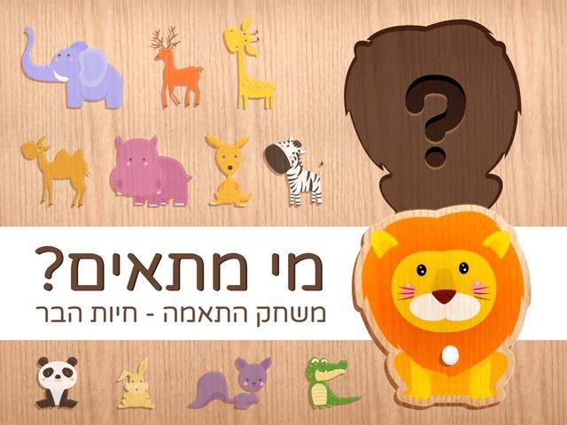 בעלי חיים וסביבתם