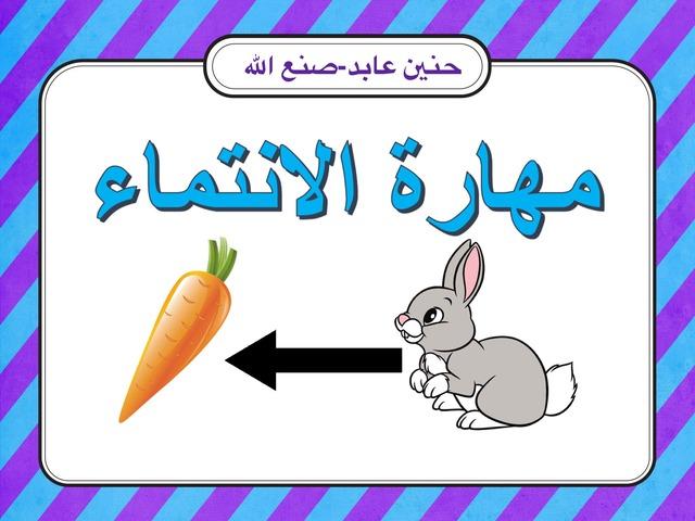 جيل ٢-٣ التفكير المجرد : فهم اسئلة